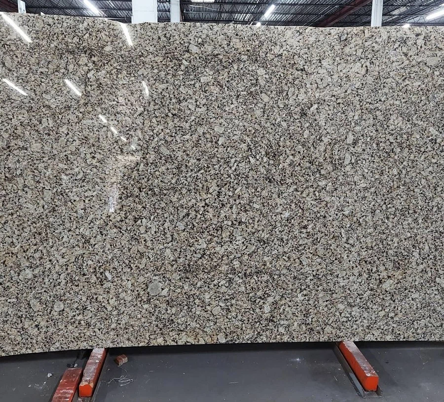 venetian pearl granite slab