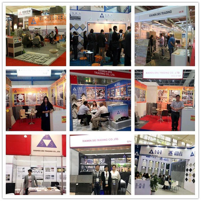 Exhibition Show Exhibition Show