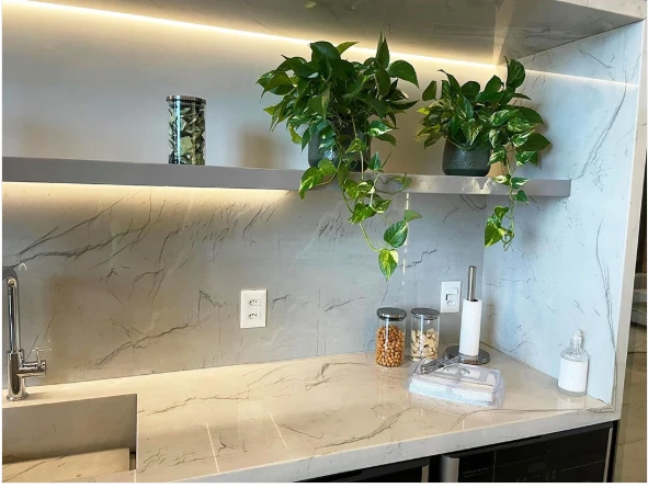 Brazil Staturio Venato Marble