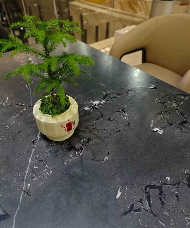 Negresco Black Quartzite Slabs