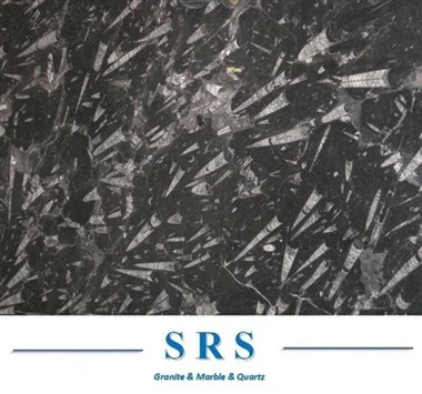 Black Fossil Marble Slab