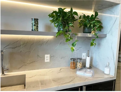 Brazil Staturio Venato Marble