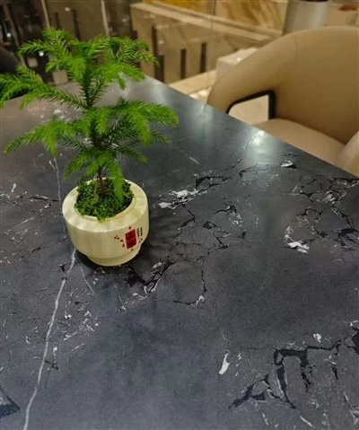 Negresco Black Quartzite Slabs