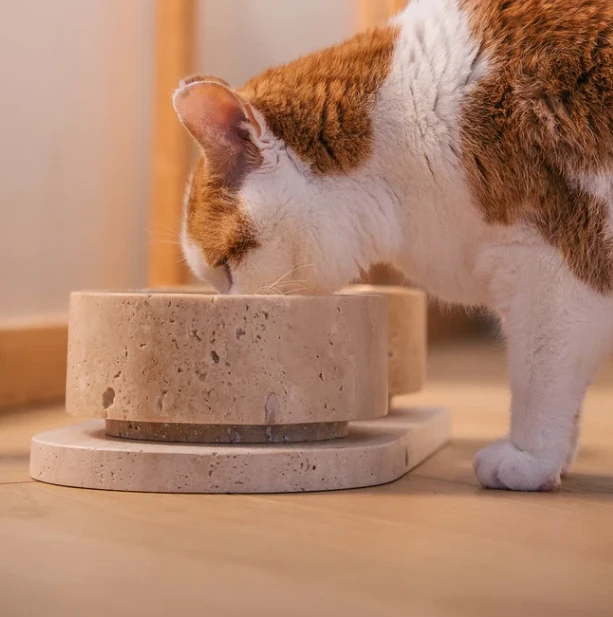 TRAVERTINE PET BOWL SET price