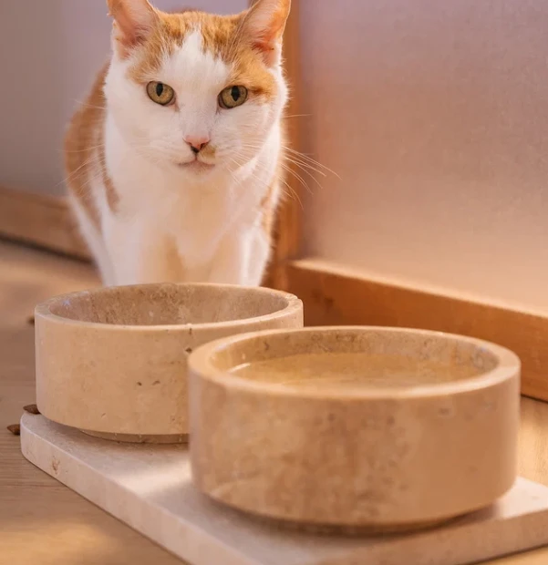 TRAVERTINE PET BOWL SET high quality