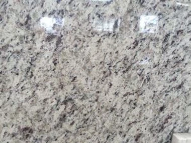 White Rose Countertop for Kitchen