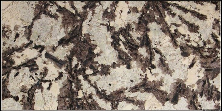 Nature Stone Snow Mountain Silver Fox Luxury Marble Countertop